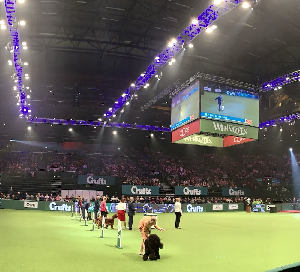 The Gossip Column, April 2, 2020